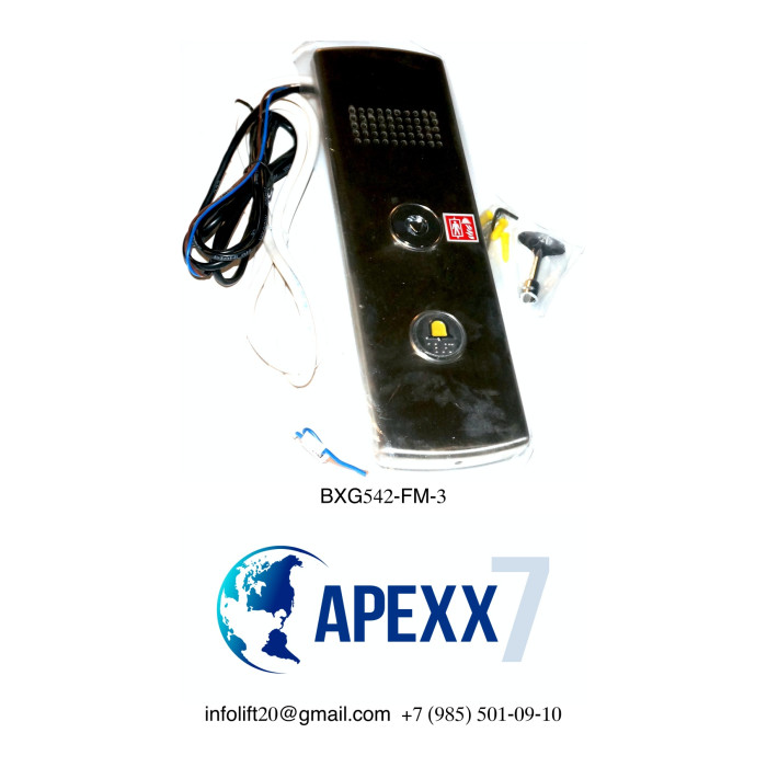 Пост вызова ЩЛЗ BXG542-FM-3 с ключом